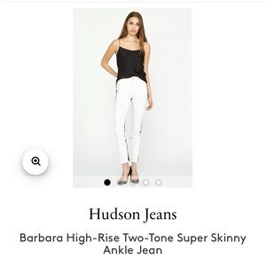 Hudson Barbara high rise skinny jeans vice versa